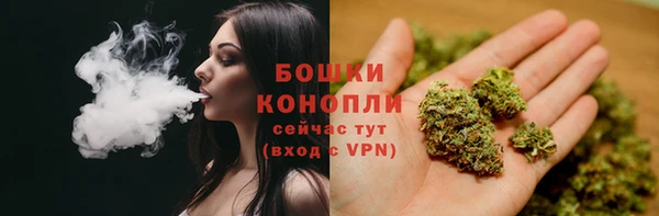 spice Осинники