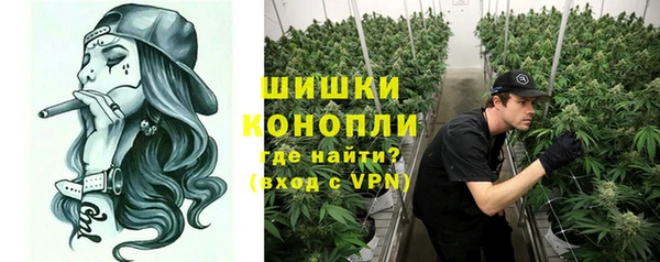 тгк Осташков