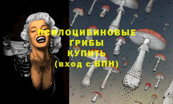 тгк Осташков