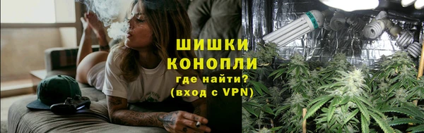 сатива Нягань